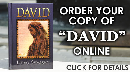 David - Hardback book